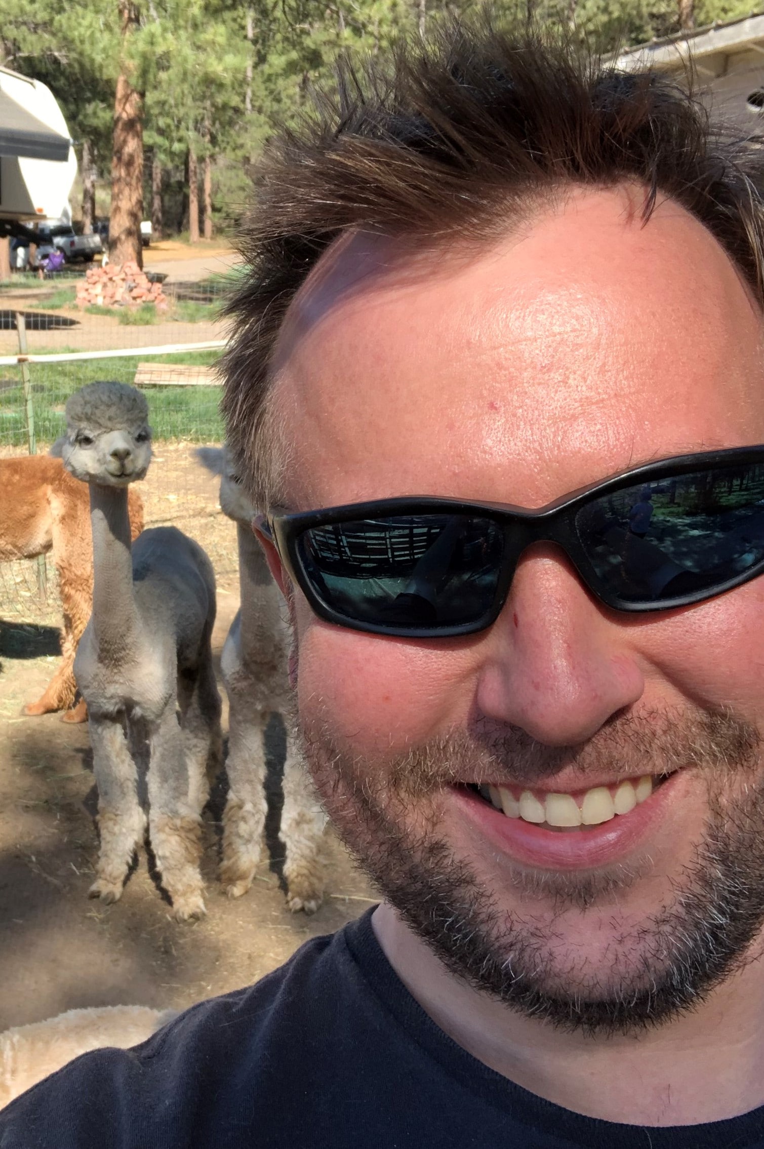 Bryan taking a selfie with alpacas