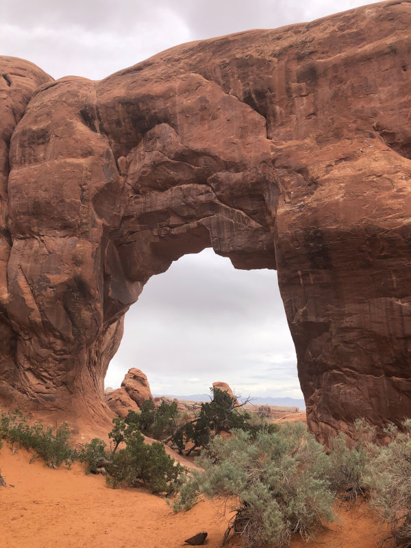 Pine Tree Arch in Arches National Park