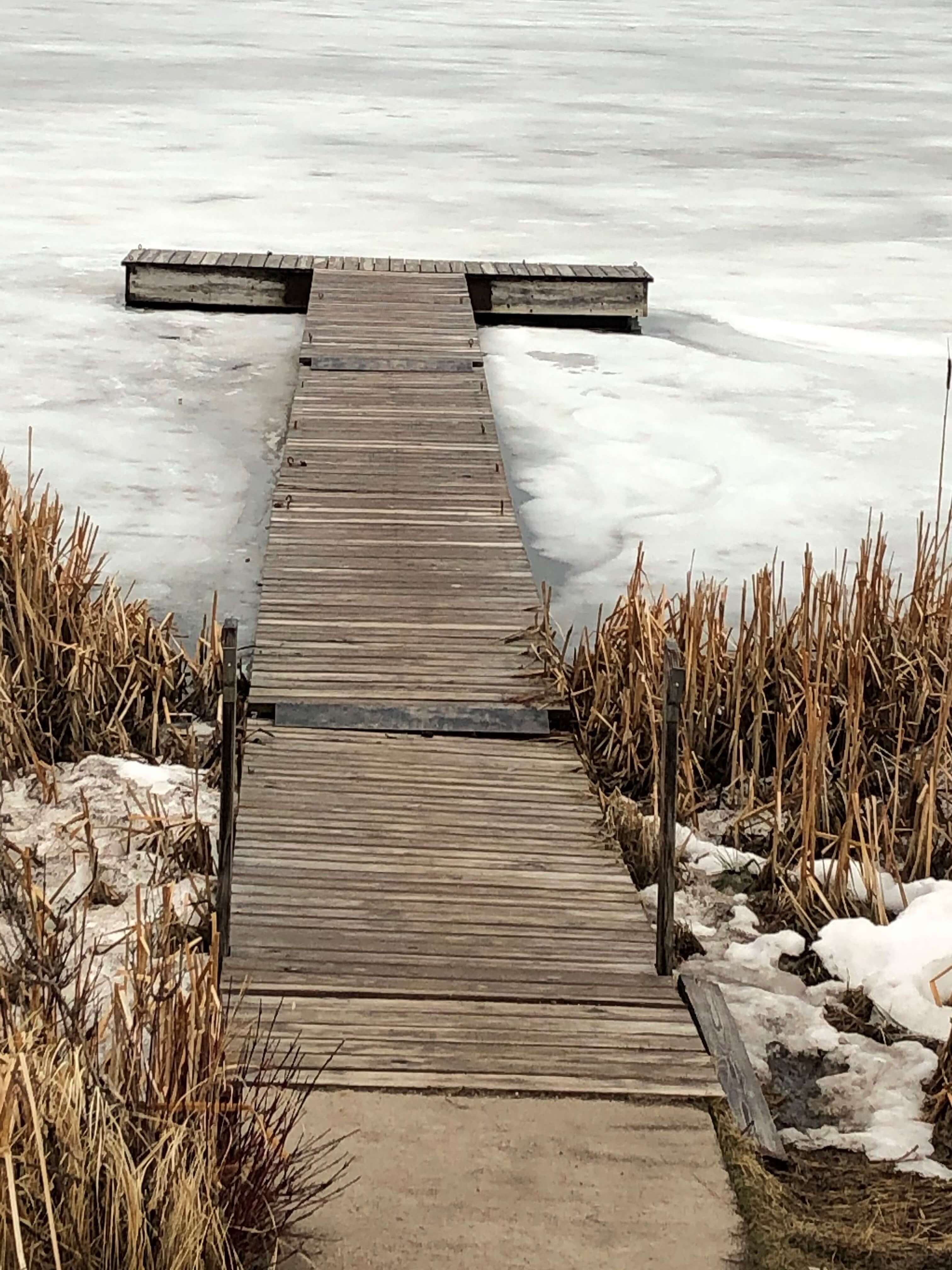 Wooden dock frozen in the ice at Sylvan Lake