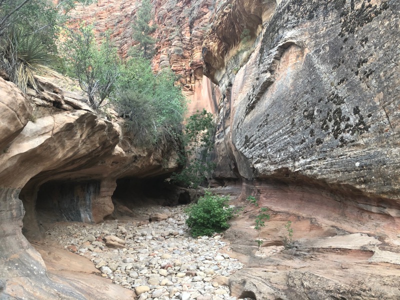 Canyon trail in Zion National Park