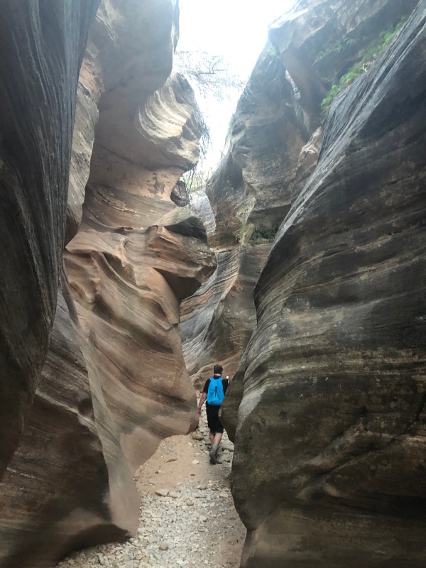 Slot canyon in Zion National Park